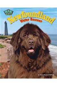 Newfoundland