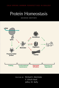 Protein Homeostasis, Second Edition