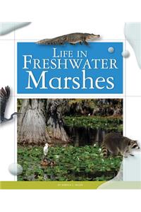 Life in Freshwater Marshes