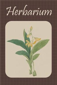 Herbarium