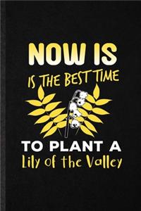 Now Is the Best Time to Plant a Lily of the Valley