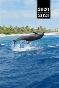 Dolphin Beluga Whale Porpoise Dolphinfish Week Planner Weekly Organizer Calendar 2020 / 2021 - Backflip