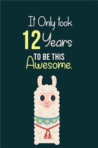 It Only Took 12 Years to be this Awesome