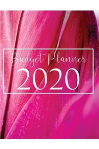 Budgeting Planner 2020
