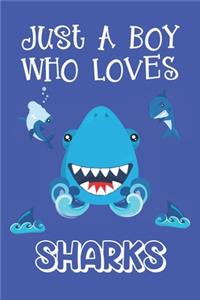 Just A Boy Who Loves Sharks