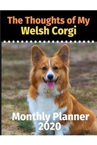 The Thoughts of My Welsh Corgi