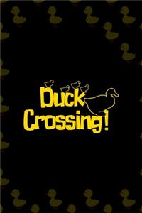 Duck Crossing!