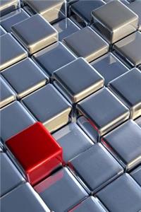 Chrome Cubes and a Red One Journal