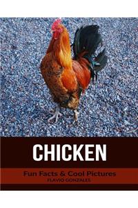 Chicken: Fun Facts & Cool Pictures