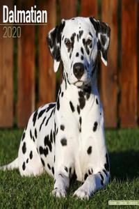 Dalmatian Calendar 2020