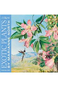 Kew Gardens - Exotic Plants by Marianne North Wall Calendar 2021 (Art Calendar)