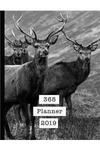365 Planner 2019