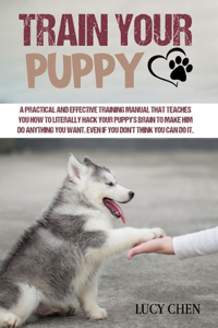 Train your Puppy