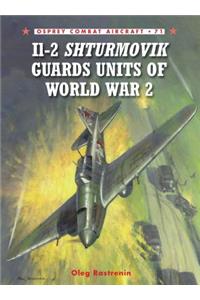 Il-2 Shturmovik Guards Units of World War 2