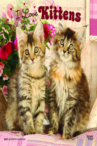 Kittens, I Love 2023 Square Foil
