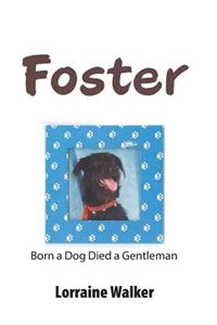 Foster