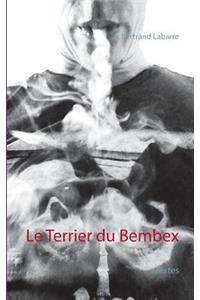 Le Terrier du Bembex