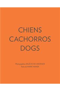 Chiens Cachorros Dogs