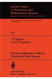 Numerical Methods in Markov Chains and Bulk Queues