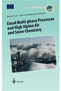 Cloud Multi-Phase Processes and High Alpine Air and Snow Chemistry: Ground-Based Cloud Experiments and Pollutant Deposition in the High Alps