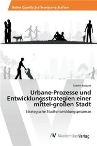 Urbane-Prozesse und Entwicklungsstrategien einer mittel-großen Stadt