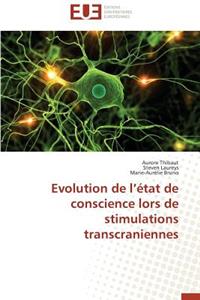 Evolution de L État de Conscience Lors de Stimulations Transcraniennes