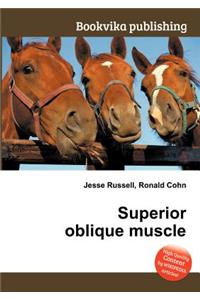 Superior Oblique Muscle