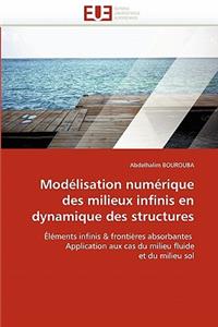 Modélisation Numérique Des Milieux Infinis En Dynamique Des Structures