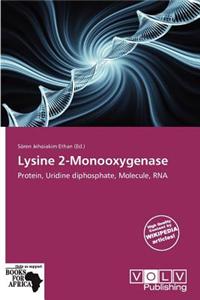 Lysine 2-Monooxygenase