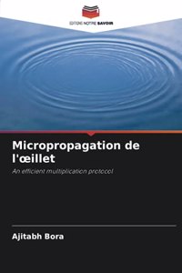 Micropropagation de l'oeillet