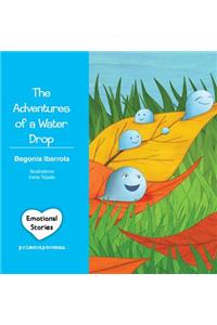 Adventures of a Water Drop