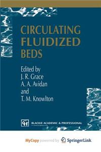 Circulating Fluidized Beds