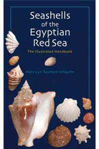 Seashells of the Egyptian Red Sea: The Illustrated Handbook