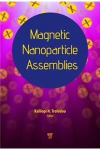 Magnetic Nanoparticle Assemblies