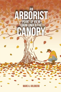 Arborist Point Of View From Under The Canopy