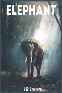 Elephant 2021 Calendar
