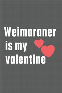 Weimaraner is my valentine