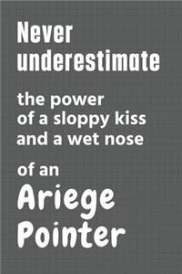 Never underestimate the power of a sloppy kiss and a wet nose of an Ariege Pointer