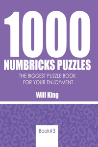 1000 Numbricks puzzles