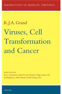Viruses, Cell Transformation, and Cancer