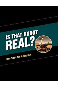 Is That Robot Real?