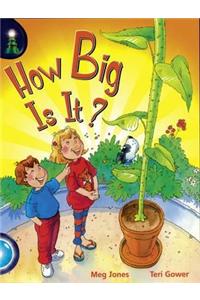 Lighthouse: How Big is It?