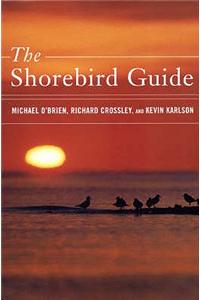 Shorebird Guide