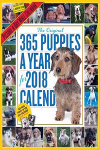 365 Puppies-A-Year Picture-A-Day Wall Calendar 2018