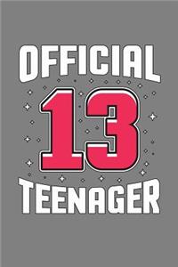 Official 13 Teenager