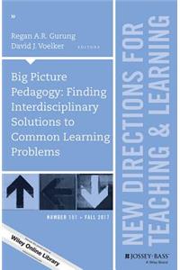 Big Picture Pedagogy: Finding Interdisciplinary Solutions to Common Learning Problems