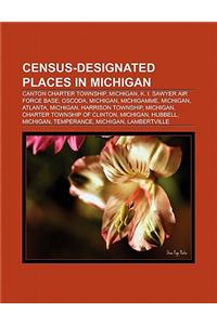 Census-Designated Places in Michigan