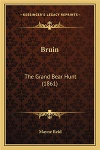 Bruin