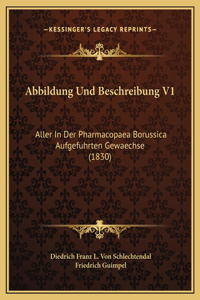 Abbildung Und Beschreibung V1