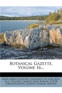 Botanical Gazette, Volume 16...